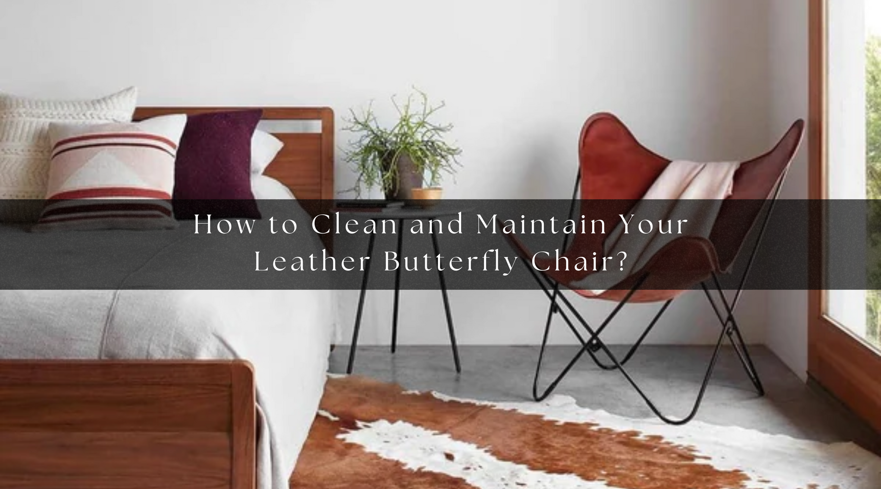 Clean and Maintain Your Leather Butterfly Chair