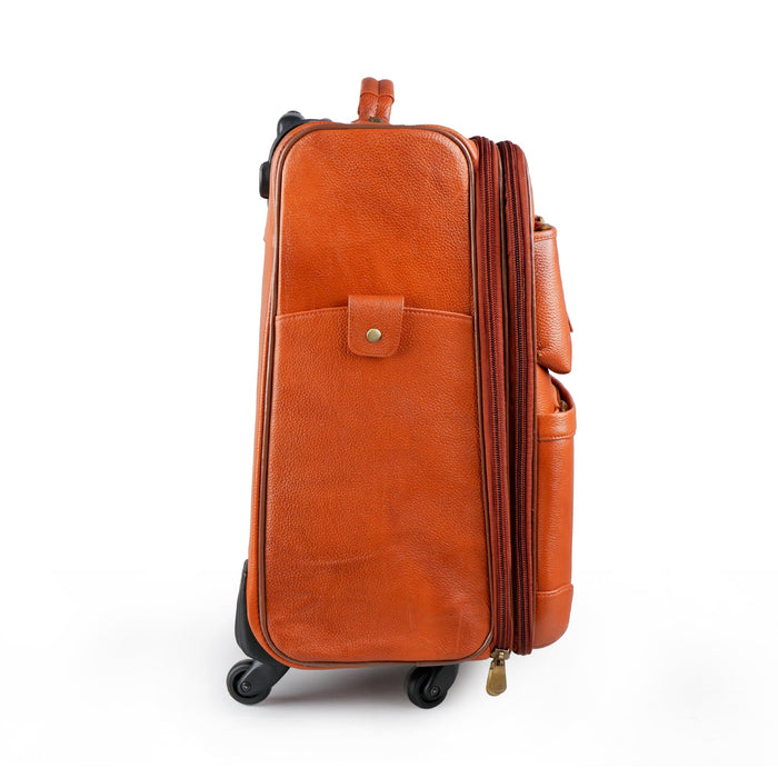 Tan Brown Cabin Trolley Suitcase