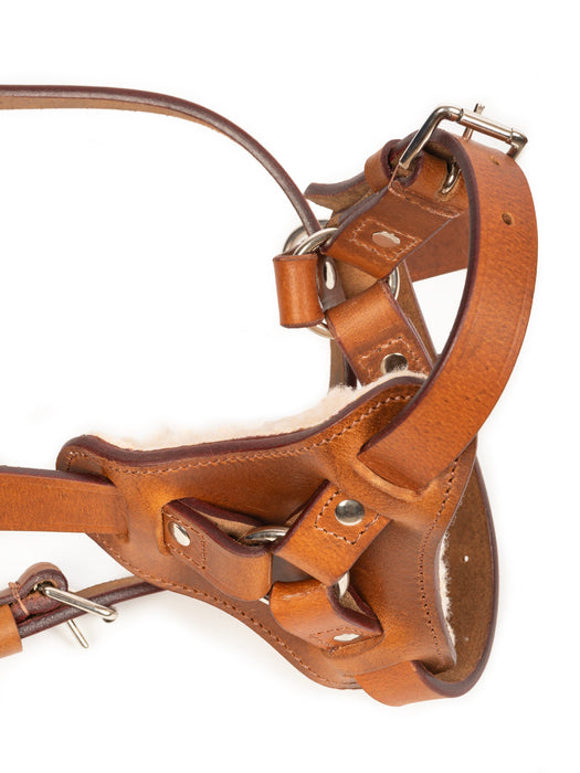 Tan Leather Dog Harness