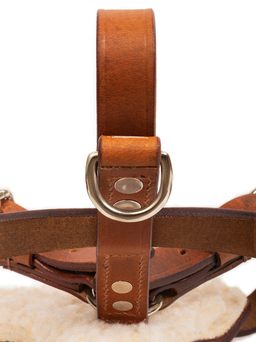 Tan Leather Dog Harness