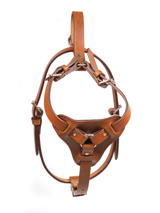 Tan Leather Dog Harness