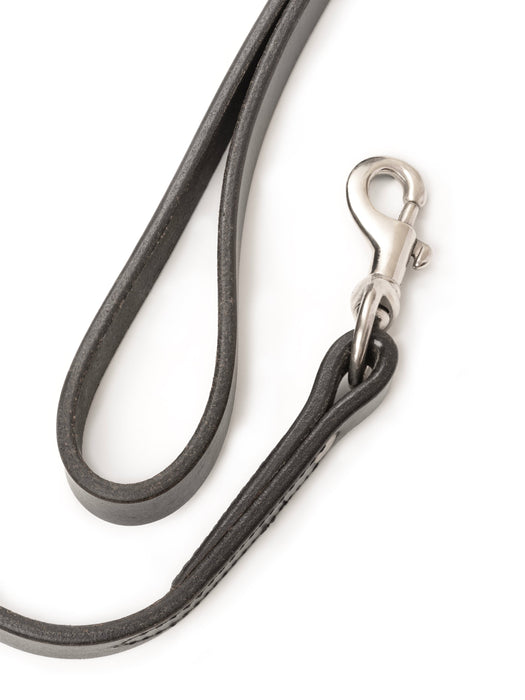 Leather Dog Leash