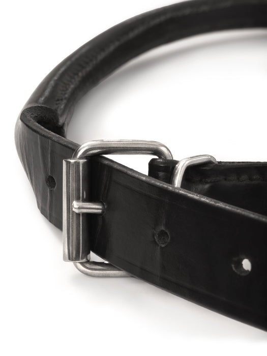 Rolled Leather Dog Collar